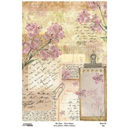copy of 